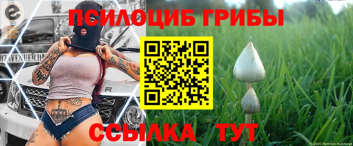 Галлюциногенные грибы Psilocybe  Галлюциногенные грибы Magic Shrooms  Дмитров  Вход с VPN 