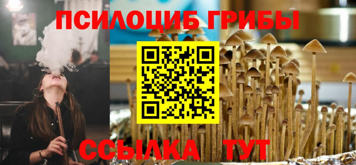 Псилоцибиновые грибы прущие грибы Дмитров